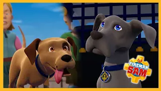 Nipper, meet Shadow! 🔥 Fireman Sam Dog Compilation