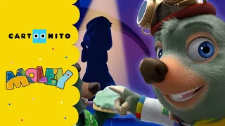 مولي ما يمكن أن يكون فقرة كارتونيتو كرتون نتورك 