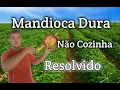 Lagu Como Cozinhar (mandioca) Aipim e Deixar bem Mole