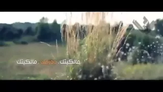 علي الدلفي   كليب سنين سنين         وايد اتجنن         دندنها