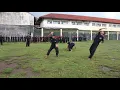 KEHEBATAN TENAGA DALAM !!! Melumpuhkan Tanpa Menyentuh !!! - WS Pamungkas