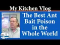 The best ant bait poison packet in the world