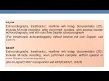2023 CPT CODING GUIDELINES FOR ECHOCARDIOGRAPHY