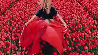 الفنان صلاح البحر حبيتك ضل عايش بالي بس هو الاول والثاني كتيبه ابو علي الجميلي 