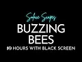 Download Lagu 10 Hour Ambient Sound | Buzzing Bees | Sleep, Relax, Study, Meditate, Focus | Black Screen