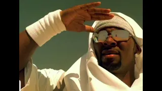 r kelly snake