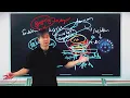 Game Theory Communist Specter Better