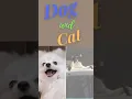 Download Lagu anjing menggonggong kafilah berlalu#SHORTS