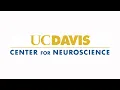 Welcome to the UC Davis Center for Neuroscience