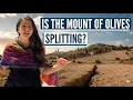 HAS THE MOUNT OF OLIVES OPENED? PROPHECY? Israel with Aline