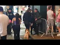 GYPSY TRAVELLER GIRL GOES BARE KNUCKLE ON HARD MAN  ( PART 1 )