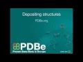 PDBe mini tutorial Depositing macromolecular structures at the PDBe