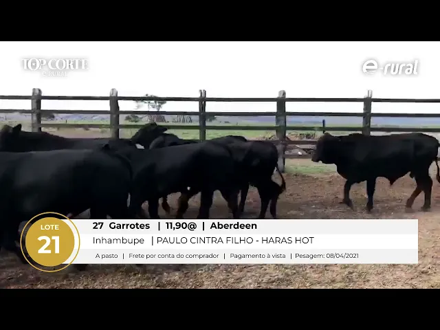 Preview de vídeo - BpVfDE5lG0g