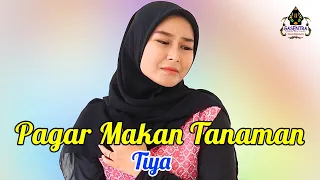 pagar makan tanaman mansur s tiya cover dangdut 