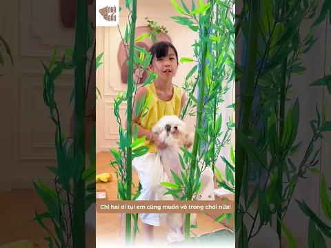Bé mèo nhà tui biết giận dỗi và cái kết... 😱
