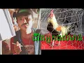 Download Lagu ជីវិតអ្នកជល់មាន់  ច្រៀងដោយឆាន់ វ៉ាន់ថា