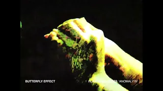 flawed mangoes butterfly effect official visualizer 