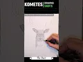 Drawing a Majestic Deer Free Downloadable Coloring Page with Deer Facts