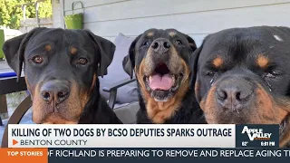 Benton Co Sheriff s Office defends use of force after killing of two dogs