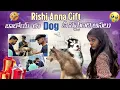 Download Lagu Rishi anna 🎁gift 👉🫶dog ki ella avuthudhi anukoledhu frds|sai@gullyporis3121