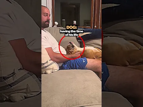 this dog has the best dad ever