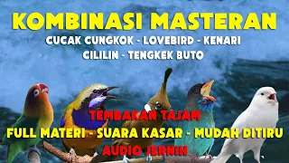 kombinasi masteran lengkap terbaru full materi tembakan tajam dan kasar 100 mudah ditiru 