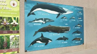 Pisa, Pollution, Sailing South and the best anchorage ever ?