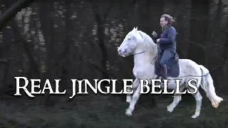 Download medieval jingle bells: How to avoid traffic accidents in medieval times! MP3