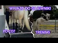 Download Lagu TRIP TO GAJEWNIKI! / EPISODE 1 / TRAINING