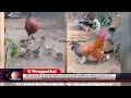 Download Lagu WATLA BUN KI SYIAR SAMLA BAD KI SYIAR KMIE BA WAN LEHJAN, RI U YIAR RYNGKUH IAKI KHUN BA KHLAD KMIE