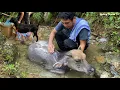 Download Lagu After a hard day's work, the Vietnamese man takes care of and bathes his pet.