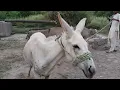 Download Lagu https://youtu.be/xOD2OoWBBHM?si=4MD0cIIvILW-pxkj