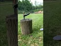 Extrema Ratio Rao 2 vs Kalashnikov