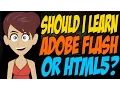 Should I Learn Adobe Flash or HTML5