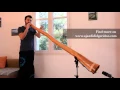 Download Lagu Ujazi Didgeridoo -  Tueka - Do/C