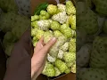 Download Lagu This Fruit (  Noni )  Has Very Bad Smell  Do  You  Know About It ? #satisfying #short