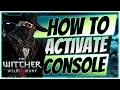 Witcher 3 Fastest Way to Enable the Debug Console GUIDE