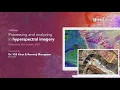 Processing and Analyzing Hyperspectral Imagery
