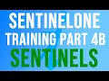 SentinelOne Training Part 4b - SENTINELS