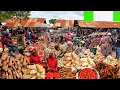 Download Lagu Rural African village market day in Benue, Nigeria west Africa 