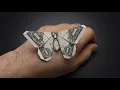 Origami Dollar Bill Butterfly Michael LaFosse