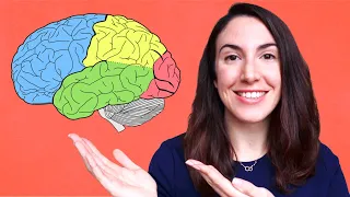 Los lóbulos cerebrales y sus funciones.