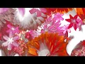felix jaehn - All For Love (Mike Williams Remix) ft. Sandro Cavazza