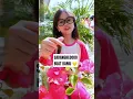 Download Lagu Malam Minggu Aku Tak Punya Pacar | JOMBLO | #tutorialdance #dancechallenge #trend #tiktok