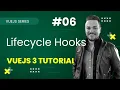 Vue JS Online Course - Vue JS Lifecycle Hooks explained TURORIAL