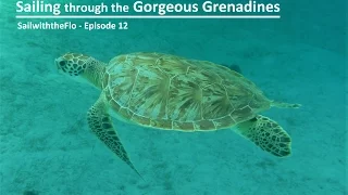 SailwiththeFlo – Episode 12 – Sailing through the Gorgeous Grenadines