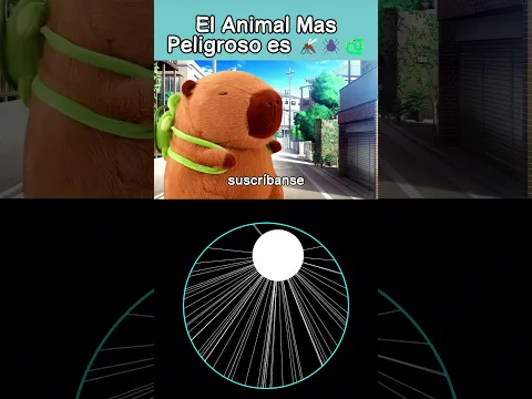 El Animal Mas Peligroso es... 🦟🕷️🐍