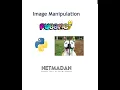 Python - Pygame