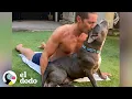 Download Lagu Pitbull que fue devuelta al refugio dos veces ama a su nueva hermanita humana | El Dodo