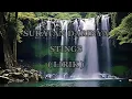 Download Lagu SURATAN DARINYA | STINGS | LIRIK